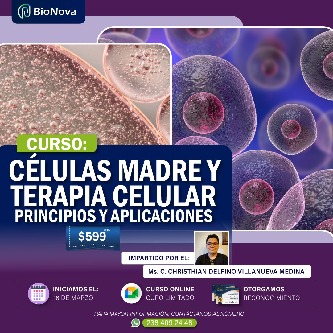 Células madre y terapia celular